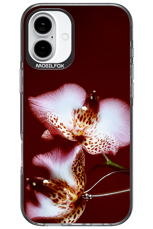 Leobloomy 2.0 - Apple iPhone 16 Plus