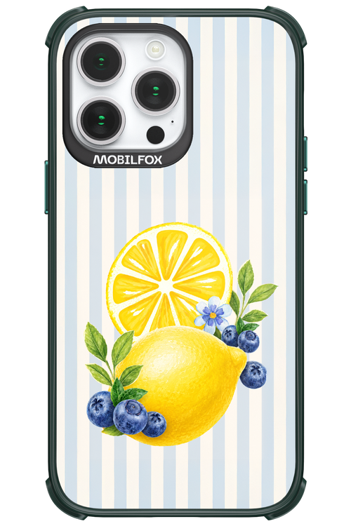 Fresh Flash 2.0 - Apple iPhone 14 Pro Max