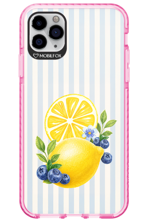 Fresh Flash 2.0 - Apple iPhone 11 Pro Max