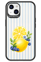 Fresh Flash 2.0 - Apple iPhone 13