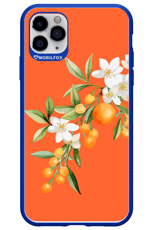 Amalfi Oranges - Apple iPhone 11 Pro Max