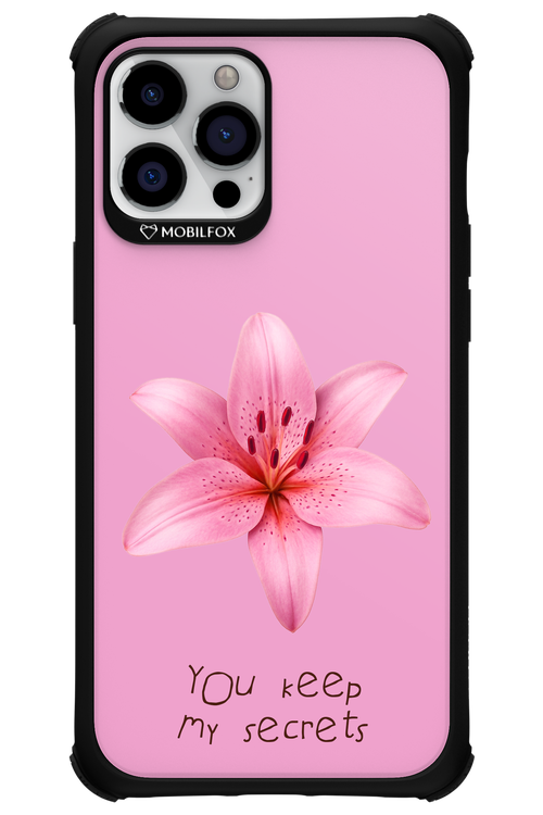 Secrets 2.0 - Apple iPhone 12 Pro Max