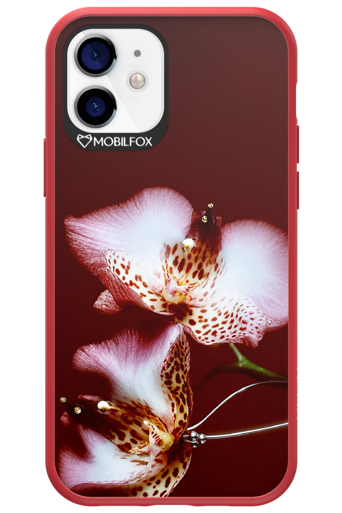 Leobloomy 2.0 - Apple iPhone 12
