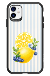 Fresh Flash 2.0 - Apple iPhone 11