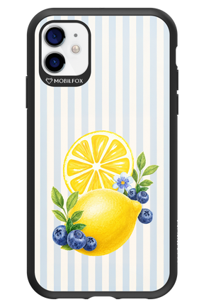 Fresh Flash 2.0 - Apple iPhone 11
