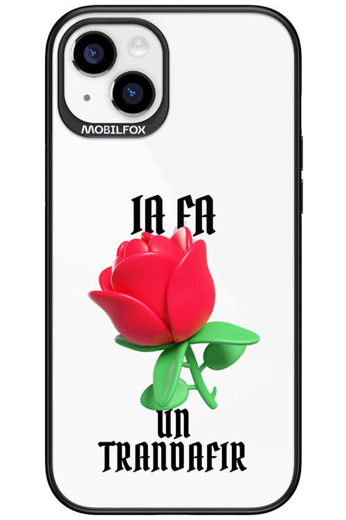 Rose Transparent - Apple iPhone 15 Plus
