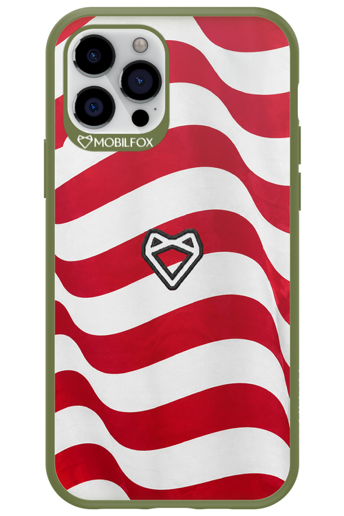 USA 2.0 - Apple iPhone 12 Pro