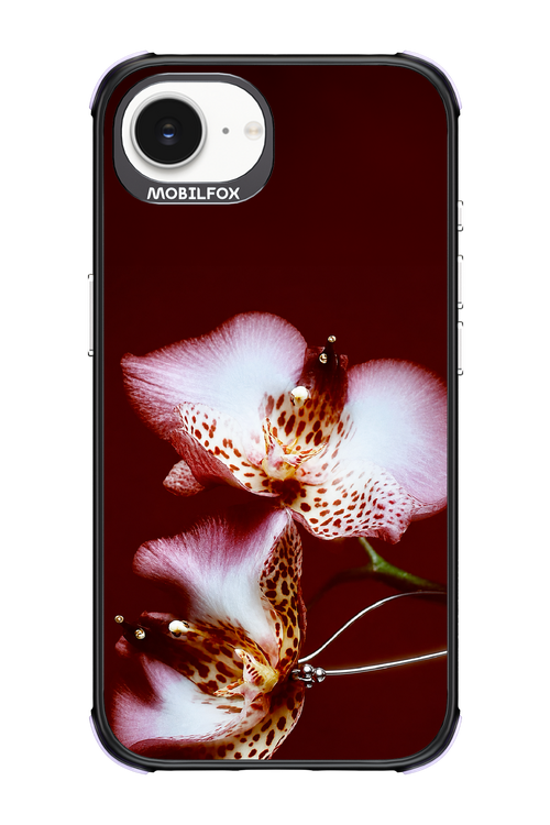 Leobloomy 2.0 - Apple iPhone 16e