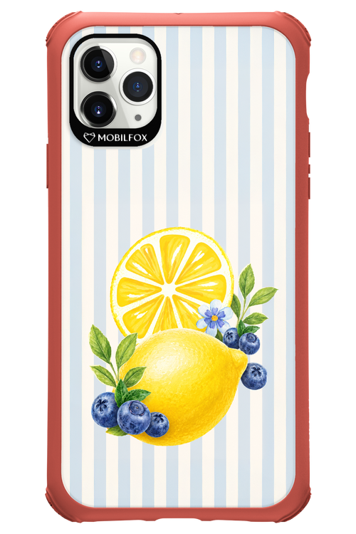 Fresh Flash 2.0 - Apple iPhone 11 Pro Max