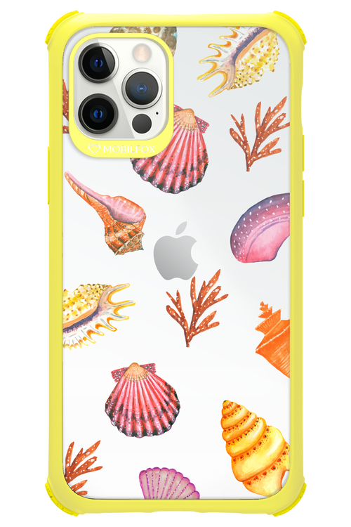 Sea Shells - Apple iPhone 12 Pro