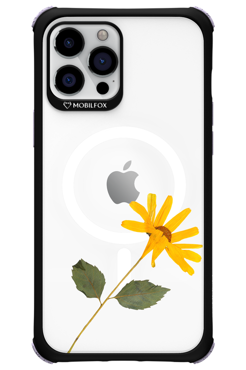 Pressed Flower - Apple iPhone 12 Pro Max