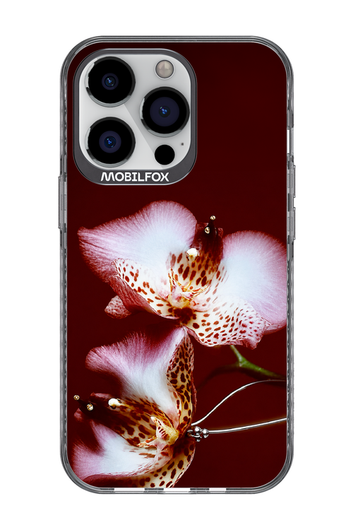 Leobloomy 2.0 - Apple iPhone 13 Pro