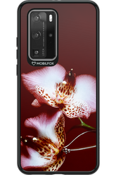 Leobloomy 2.0 - Huawei P40 Pro
