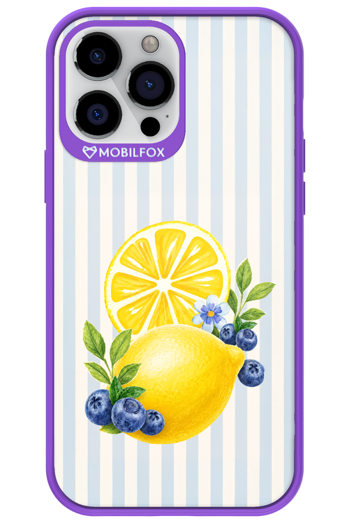 Fresh Flash 2.0 - Apple iPhone 13 Pro Max