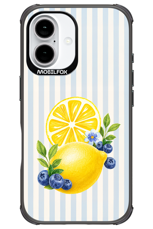 Fresh Flash 2.0 - Apple iPhone 16