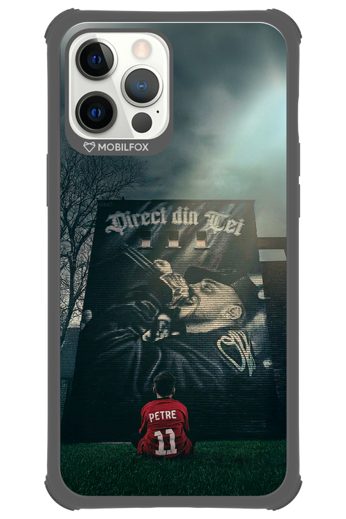 Direct Din Tei Artwork 2.0 - Apple iPhone 12 Pro Max