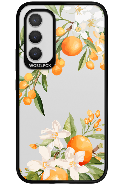 Amalfi Orange - Samsung Galaxy A34