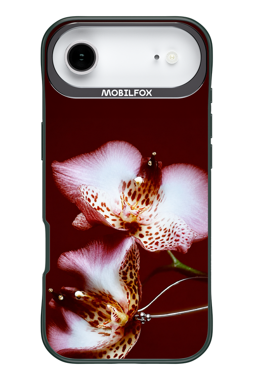 Leobloomy 2.0 - Apple iPhone 17 Air