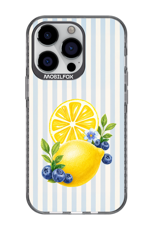 Fresh Flash 2.0 - Apple iPhone 13 Pro