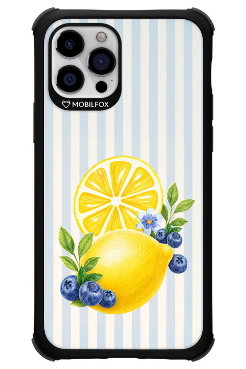 Fresh Flash 2.0 - Apple iPhone 12 Pro