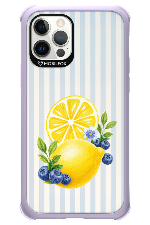 Fresh Flash 2.0 - Apple iPhone 12 Pro