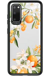 Amalfi Orange 2.0 - Samsung Galaxy S20