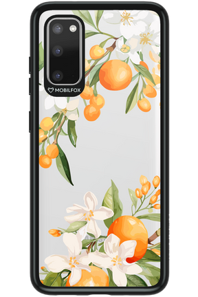 Amalfi Orange 2.0 - Samsung Galaxy S20