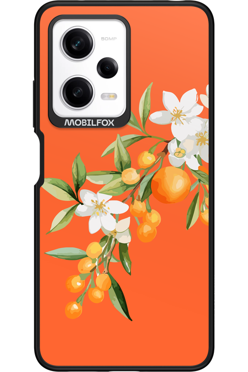 Amalfi Oranges - Xiaomi Redmi Note 12 Pro 5G