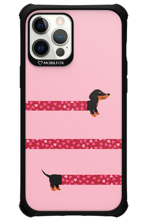 PAWS & KISSES 2.0 - Apple iPhone 12 Pro Max