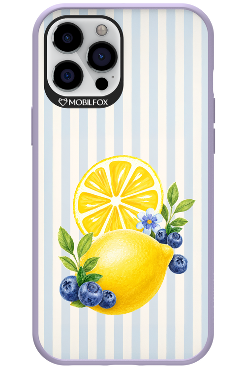 Fresh Flash 2.0 - Apple iPhone 12 Pro Max