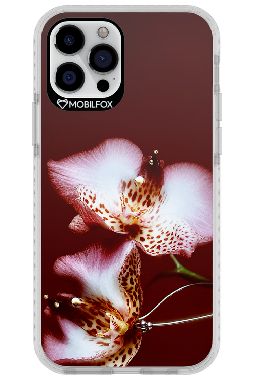 Leobloomy 2.0 - Apple iPhone 12 Pro