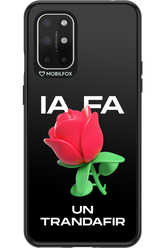 IA Rose Black - OnePlus 8T