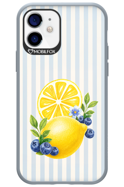 Fresh Flash 2.0 - Apple iPhone 12