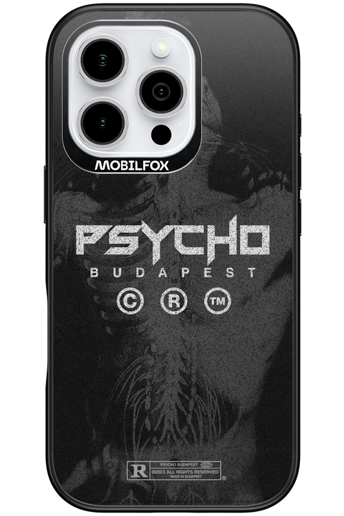 X-Ray - Apple iPhone 16 Pro