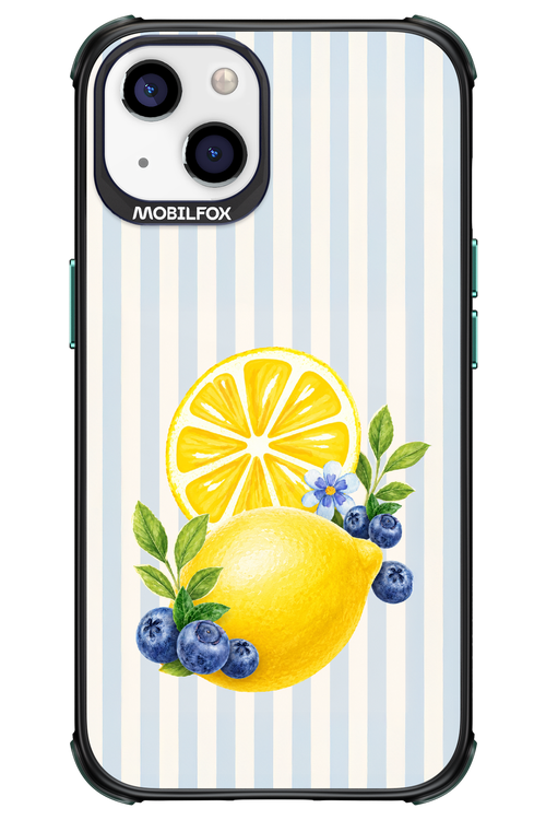 Fresh Flash 2.0 - Apple iPhone 13
