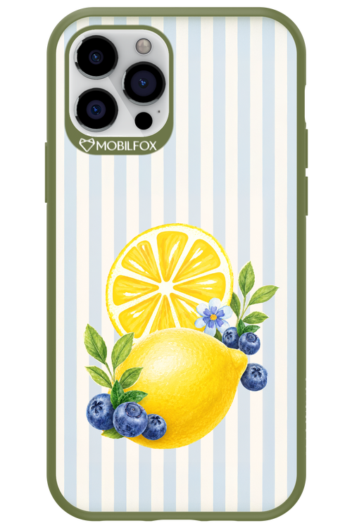 Fresh Flash 2.0 - Apple iPhone 12 Pro