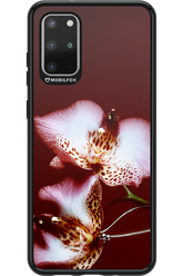 Leobloomy 2.0 - Samsung Galaxy S20+