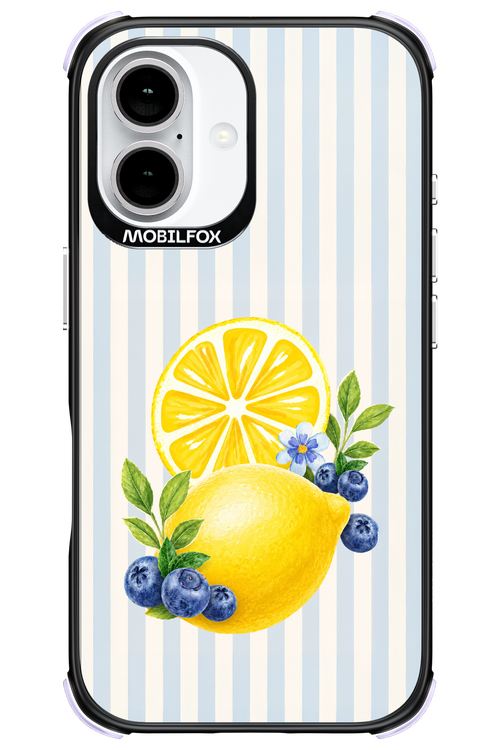 Fresh Flash 2.0 - Apple iPhone 16