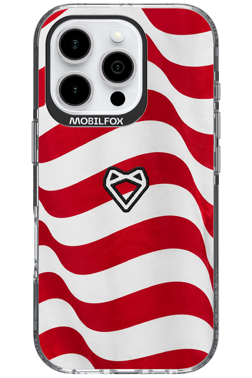 USA 2.0 - Apple iPhone 16 Pro