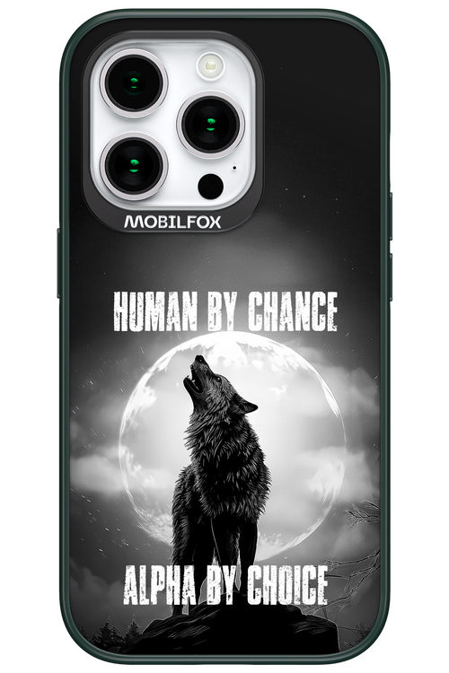 Alpha 2.0 - Apple iPhone 15 Pro