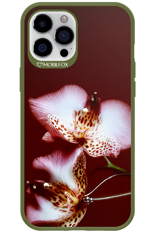 Leobloomy 2.0 - Apple iPhone 12 Pro Max