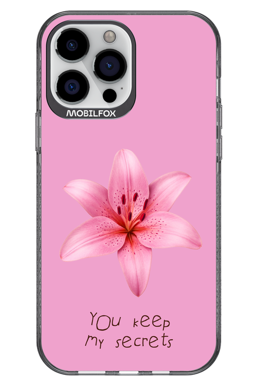 Secrets 2.0 - Apple iPhone 13 Pro Max