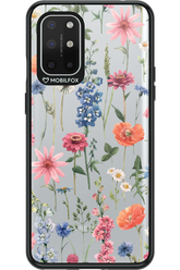 Flower Field - OnePlus 8T