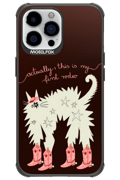 First rodeo 2.0 - Apple iPhone 13 Pro Max