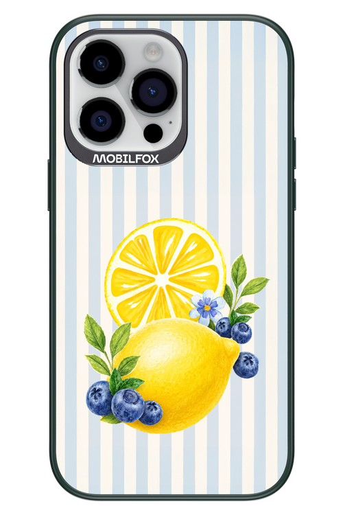 Fresh Flash 2.0 - Apple iPhone 14 Pro Max