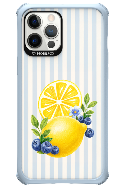 Fresh Flash 2.0 - Apple iPhone 12 Pro Max