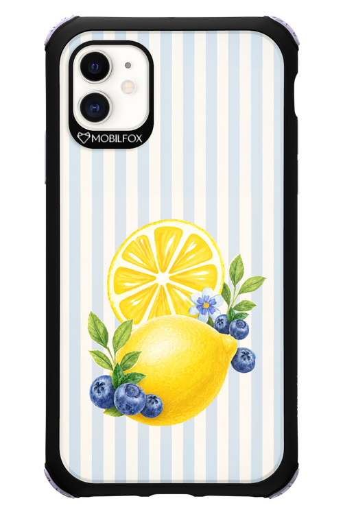 Fresh Flash 2.0 - Apple iPhone 11
