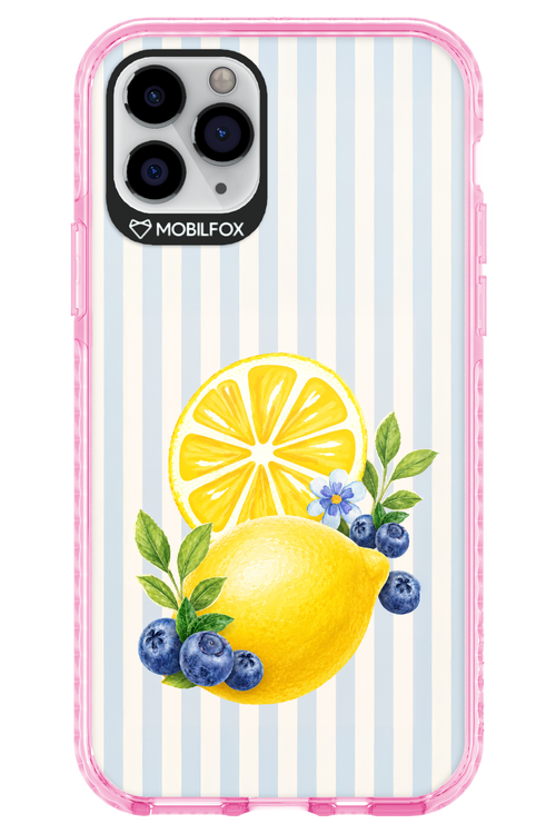 Fresh Flash 2.0 - Apple iPhone 11 Pro