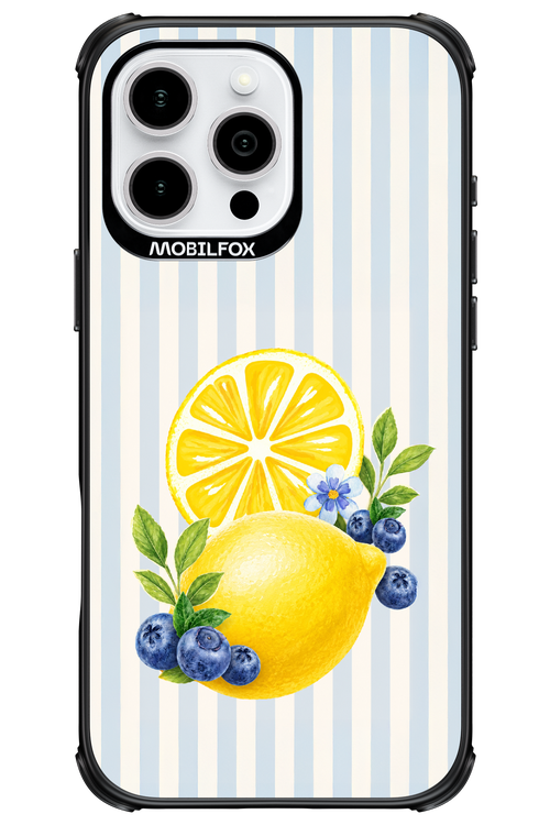 Fresh Flash 2.0 - Apple iPhone 16 Pro Max