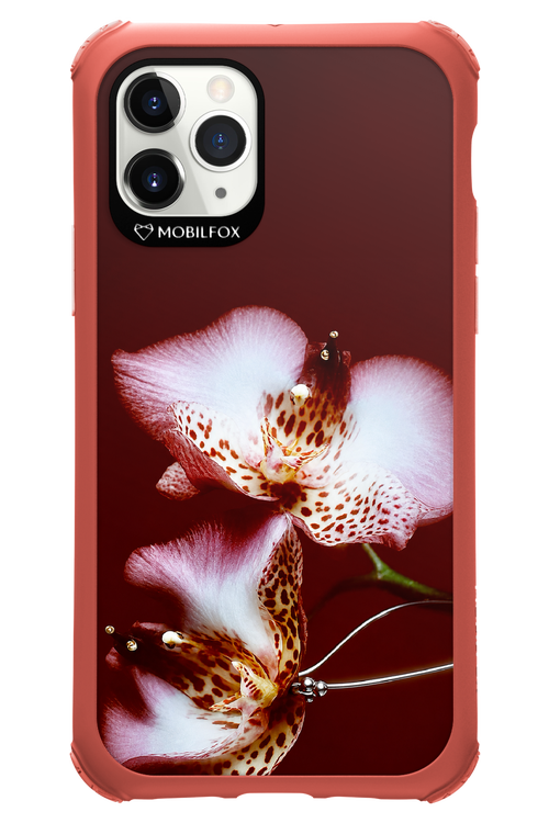 Leobloomy 2.0 - Apple iPhone 11 Pro